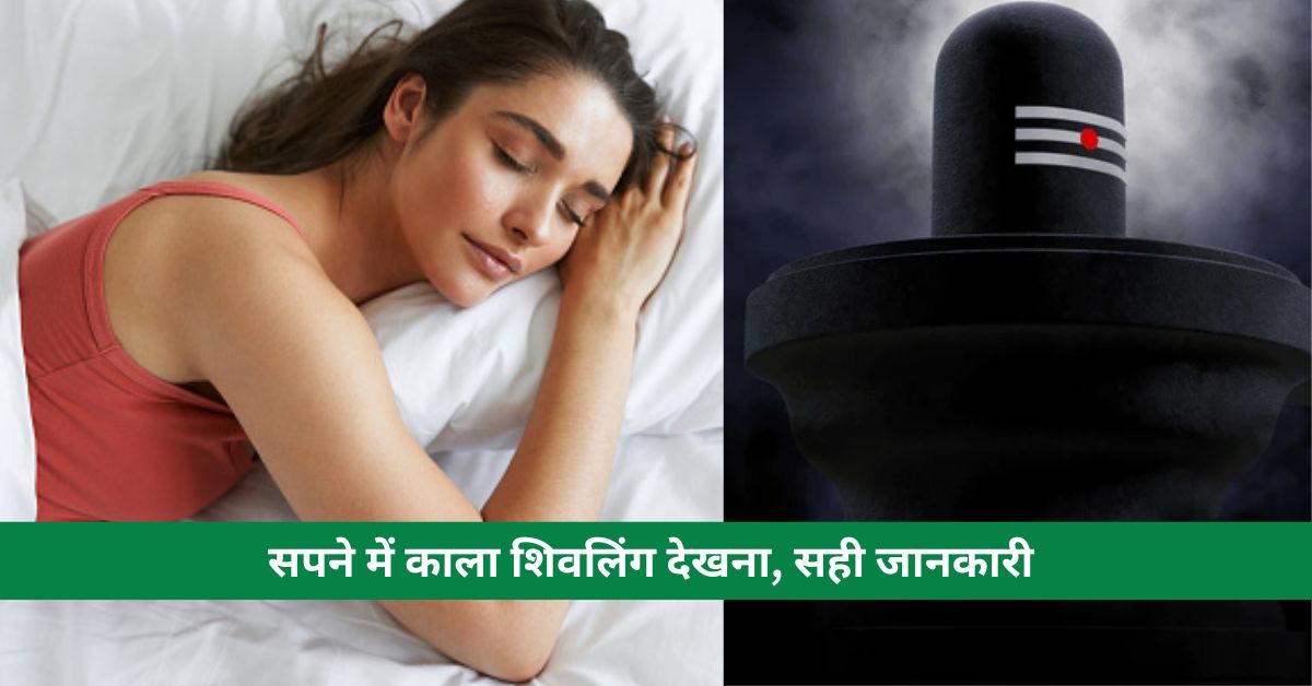 Seeing black Shivling in dreams