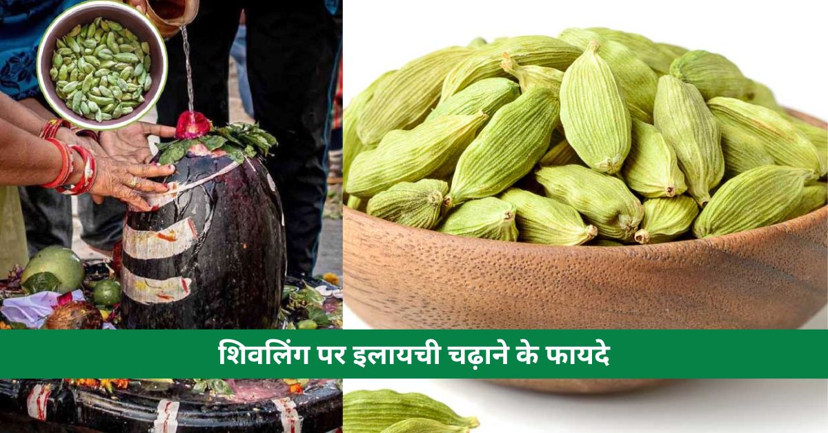 Benefits of offering cardamom on Shivling