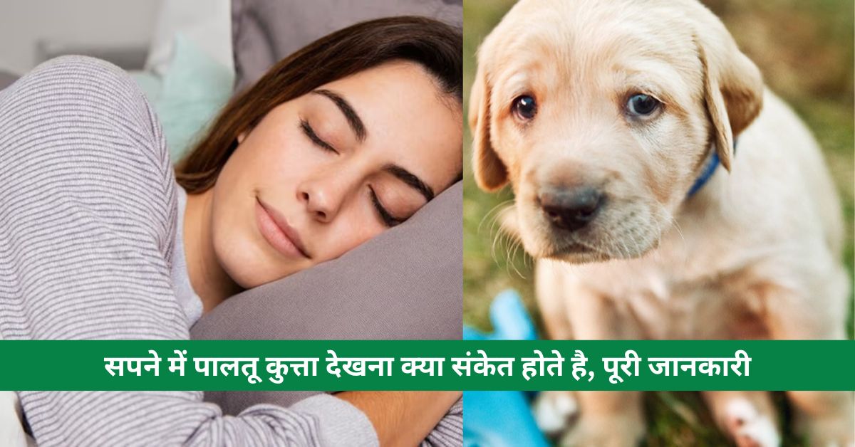 सपने में पालतू कुत्ता देखना क्या संकेत होते है