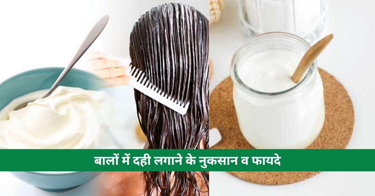 Disadvantages and advantages of applying curd to hair, the right way to apply it